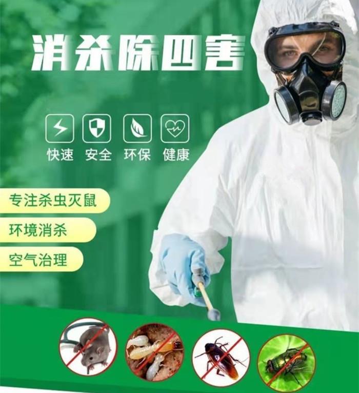 深圳市龙岗区办公室灭白蚁公司  白蚁检测价格