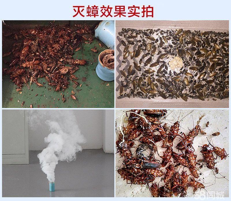 深圳罗湖蟑螂防治公司  家庭灭蟑螂价格虫害防治价格多少