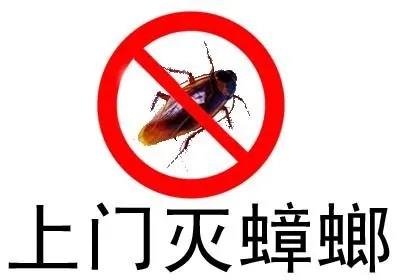 深圳罗湖四害消杀公司  家庭灭蟑螂价格虫害防治怎么收费
