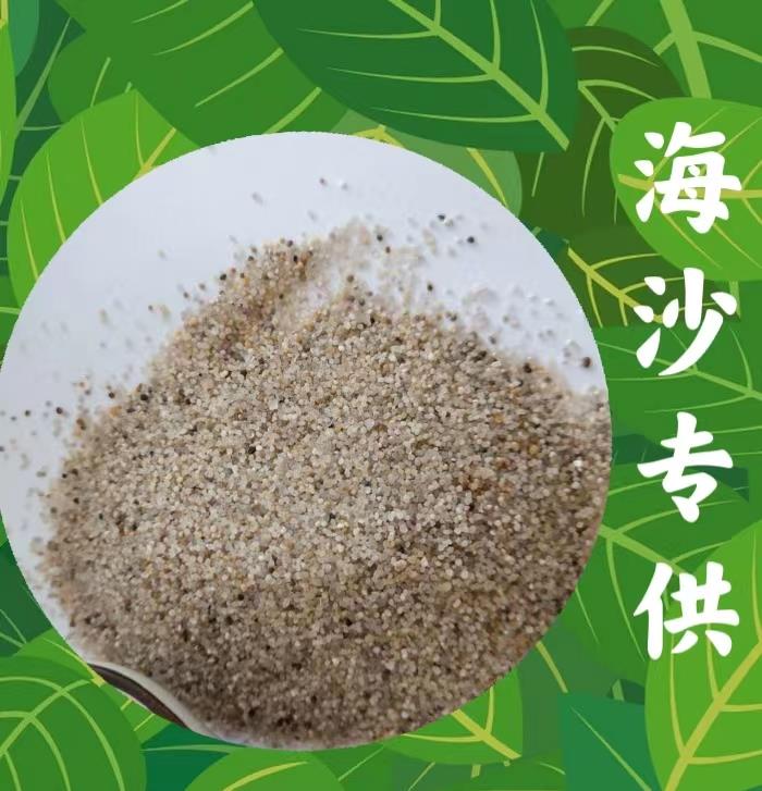 每日推荐：海淀区精白砂使用规格