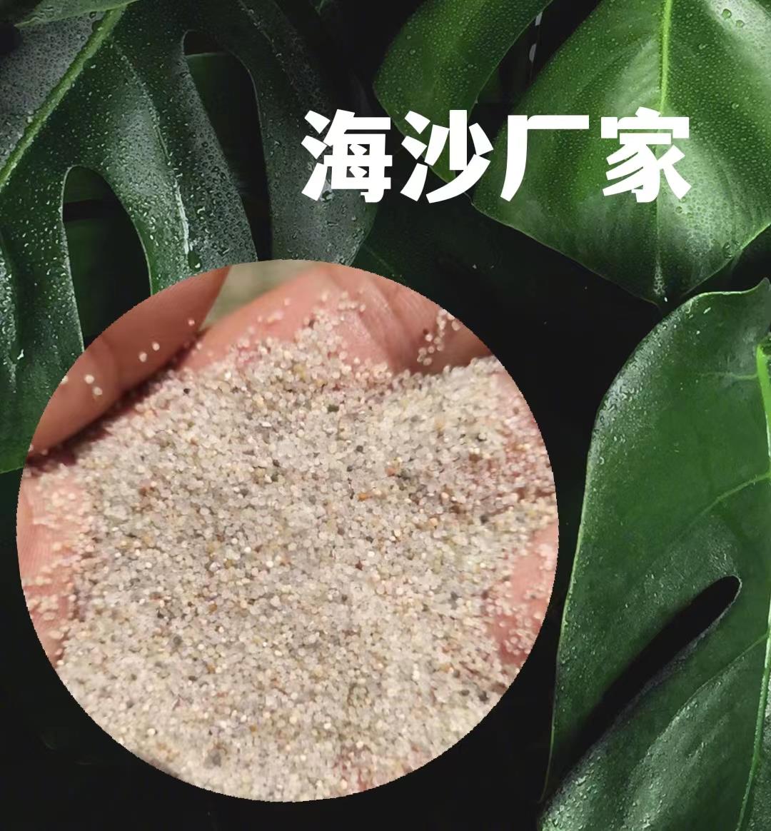 每日推荐：东城区体育场专用海砂