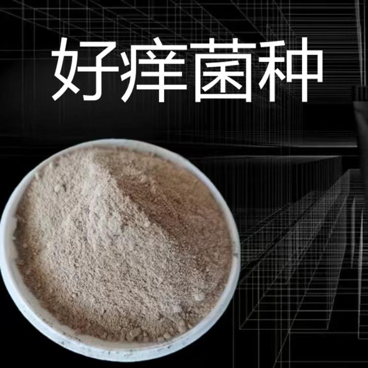 每日推荐：西城区氨氮处理菌种使用方法