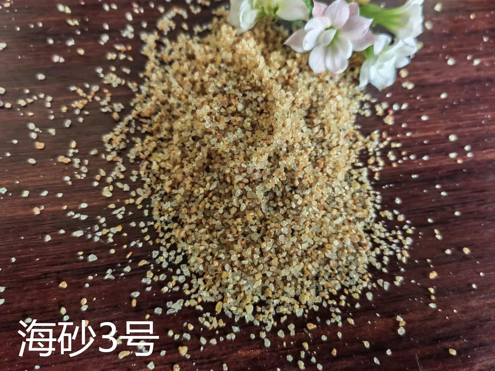 每日推荐：西城区海砂景观使用规格