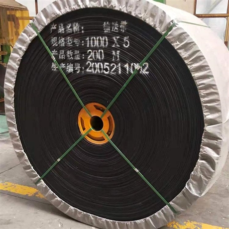 高品质PVG阻燃输送带 PVC塑料阻燃输送带1000s