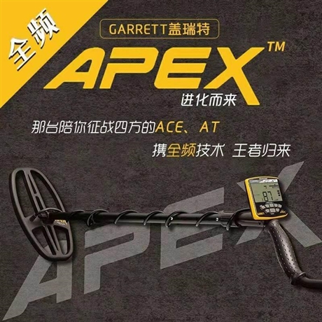 蓋瑞特蓋瑞特