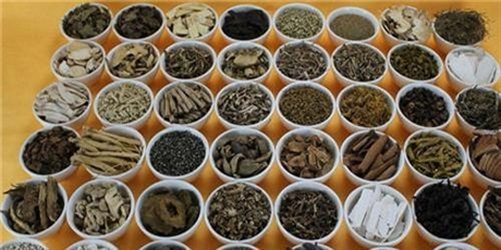 中藥材批發(fā)熟地黃炭  網上哪里能買到在線即問即答