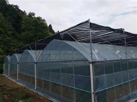 麻城连栋大棚蔬菜大棚节约成本