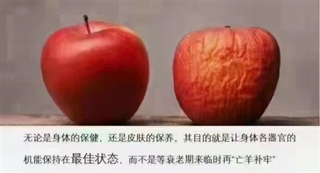 怎么加入安利，做安利人有什么结果