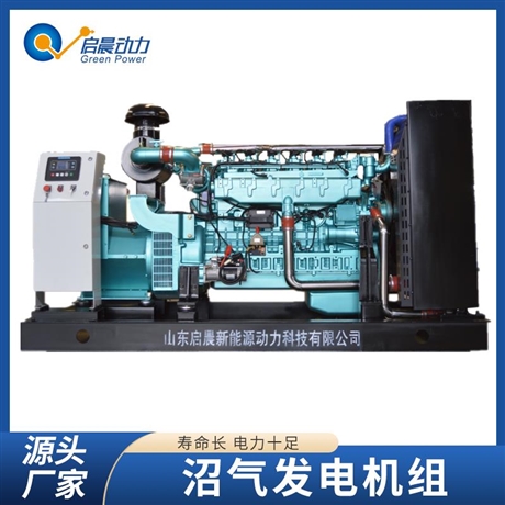 垃圾填埋氣發(fā)電機(jī)組   智能化控制啟停  性能穩(wěn)定噪音小   三相同步發(fā)電機(jī)