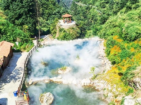 黃岡市  霧森造景安裝公司