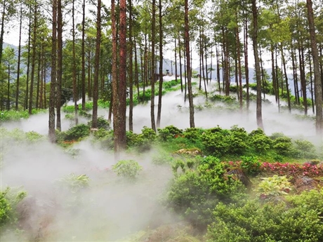 十堰市  水霧造景安裝
