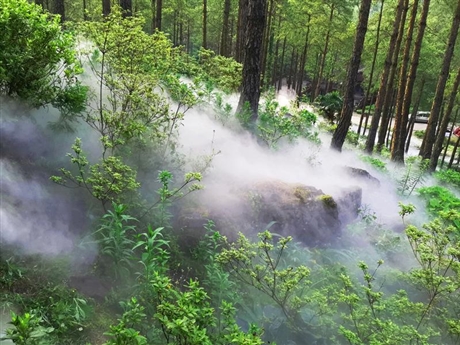 隨州市  水霧造景生產(chǎn)廠家