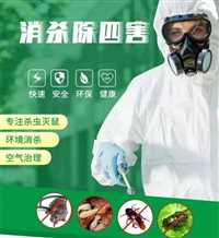 深圳市龙岗区办公室灭白蚁公司  白蚁检测价格