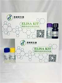 人棕榈酰化膜蛋白2(MPP-2)ELISA试剂盒