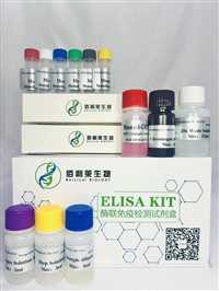 小鼠单胺类神经递质(Mnt)ELISA试剂盒