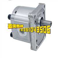 厂家  CBN-F306系列压路机齿轮泵 生产齿轮泵供应铲车齿轮泵