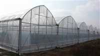 河北省唐山市保温大棚棉被温室大棚每亩地