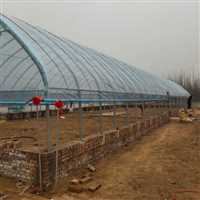 浙江农业钢管大棚建设温室  