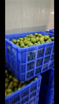 汕头乔丰塑料筐 周转箱  佛山乔丰塑胶厂