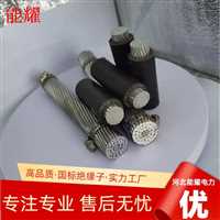 JKLYJ-20KV-300  架空绝缘导线20KV加工定制  工厂