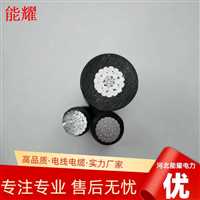 20KV-JKLYJ-150  20千伏架空绝缘导线品质保证  售后无忧