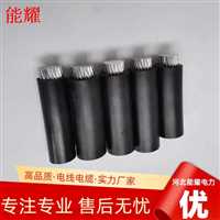 JKLYJ-20KV-300  20KV架空绝缘导线品质保证  售后无忧