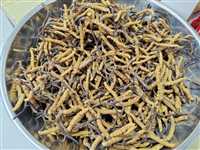 北京哪里有上门回收菜刀酒庄红酒回收价格一览表