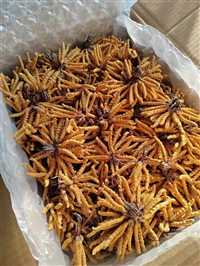 北京哪里有高价回收菜刀酒庄红酒回收人员联系电话