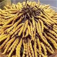 北京地区上门回收菜刀酒庄红酒回收人员联系电话