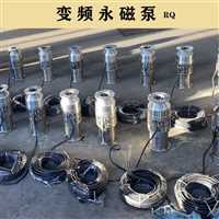 塘沽区永磁潜水泵轻量化和便携性