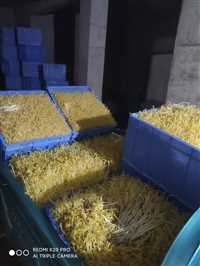 汕尾全新料食品级乔丰塑胶桶 塑料水桶塑料托盘，卡板  佛山市乔丰塑胶实业有限公司