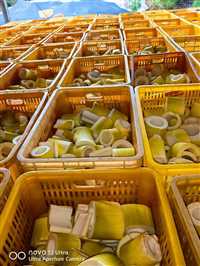 九江耐低温冻库专用乔丰塑胶桶 塑料水桶塑料托盘，卡板  佛山市乔丰塑胶实业有限公司