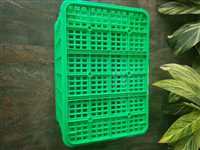 文昌耐低温冻库专用乔丰塑胶桶 塑料水桶塑料托盘，卡板  佛山市乔丰塑胶实业有限公司