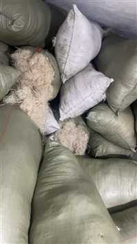 广东PEEK刨花法国阿科玛PEEK聚醚醚酮下脚料回收PEEK收购价格