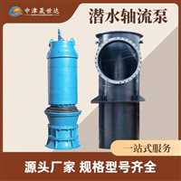 湖南一体化防汛潜水轴流泵泵站