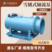 北京  一体化潜水轴流泵泵站厂家